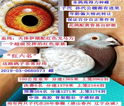 红雄母亲红六名