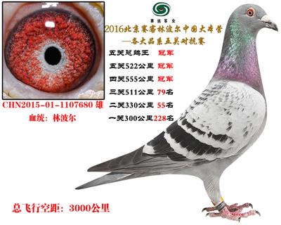 ����16���P��������܊