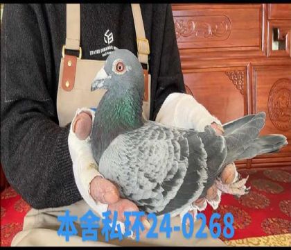 ˽�����ǲ��˺ú���ض���0268