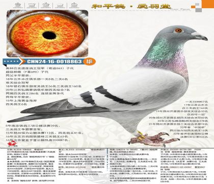 ����ƥ���ٶȸ����ھ����漣063���䳬���ִƣ�Fϲ690��