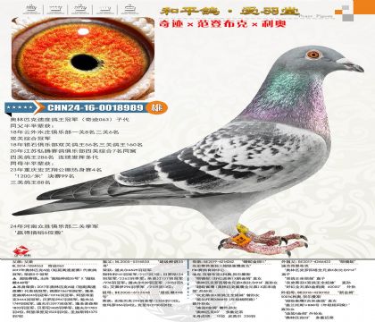 �漣�����ǲ��ˡ����£�����ƥ���ٶȸ����ھ����漣063���Ӵ�