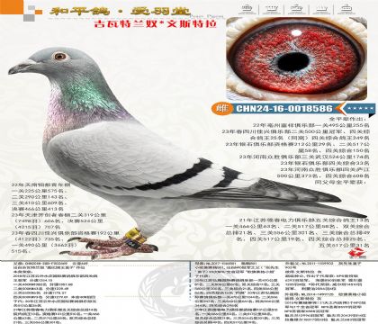 ��������ū����ŷ�߿�С�㡱Ů���������������˼��������ս����