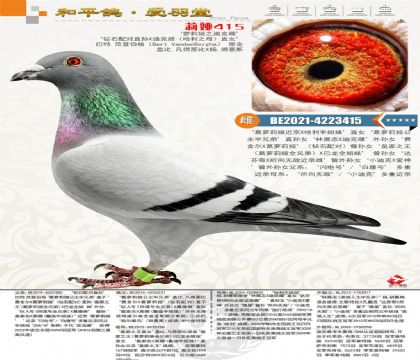 �Ǳȡ���������ԭ���ߴ��루С�Ͽˡ�������Ůֱ����������Ͻ�