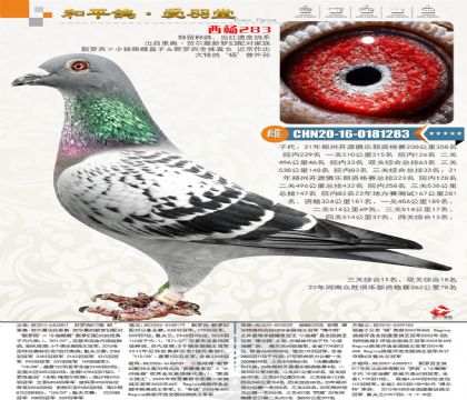 ��������С���۴�ֱ�ӣ�������ȫ��ֱŮ���λ�����������������