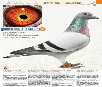 ����������������������˹����ĸ������092��ֱ�ӣ���������