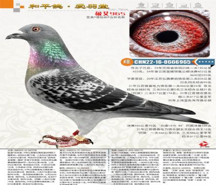 ������˹���壬������������25�꿪������������ۺ�16��