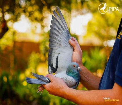 ����˹ԭ�᱾��2024��ά�������ٲ��������539����105