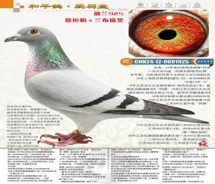 �����������������������������������ֱŮ��ƽ������7����15