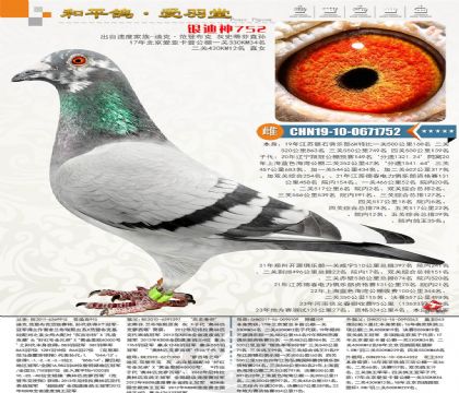 �Ͽˡ����ǲ��˰���ƥ��������ȫ�ֵ�ֱŮ������063����Ů