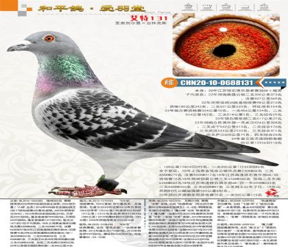 ����Ѫϵ��ȫ���ٶȸ����ھ�����383ֱŮ����ѫ�ִ�