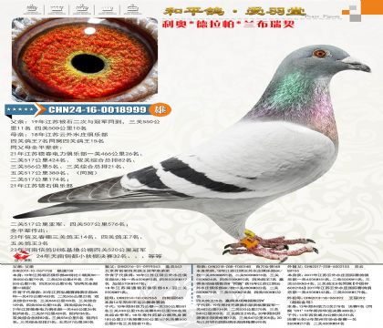 ���¸�����˹�������������ȫ�ֵ�21����ʯ�����Ǿ��´�����5