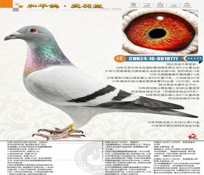 ��������ū����˹������ŷ�߿�С�㡱Ů�����Ĺ��ۺ��Ǿ��Ӵ�