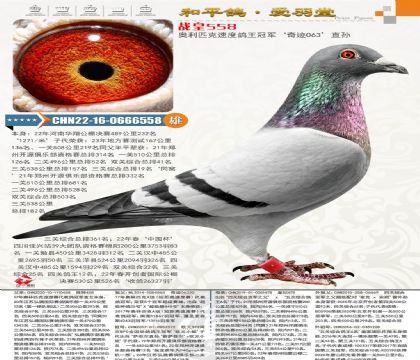 �漣�����£���������232����ƽ������ͭ��530����130��