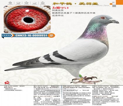 �°���ƥ��ֱ�ӡ��°���ƥ�˰��ã�����������������˹����