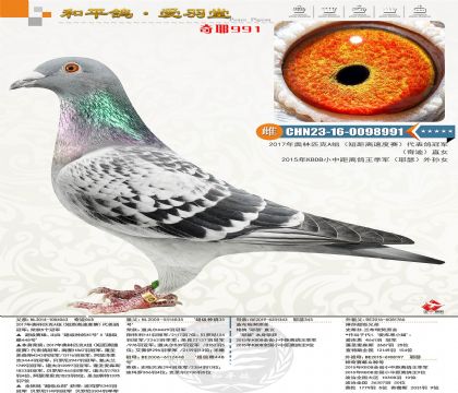 ��ʯ�������������Ͻ�857Ѫϵ��KBDB��������Үɪ����Ů