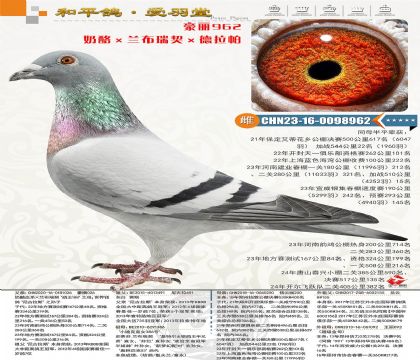 ���������˹ֱ��������������������188����Ӵ�����ĸ����Ů