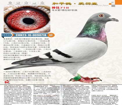 ���������¡������Ĺ��ۺ�74����ȫƽ�����ظ����ھ�