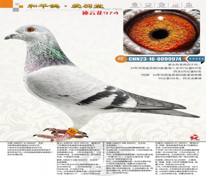 С�ڻ���������������������Ӵ��������85��