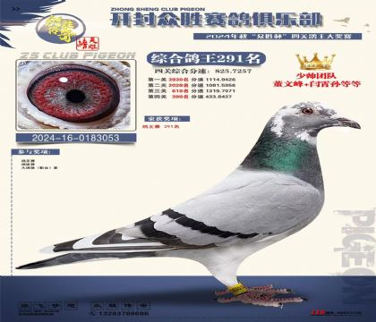 ���ǲ���Ѫϵ��������ʤ����291��������25������ͭ��185