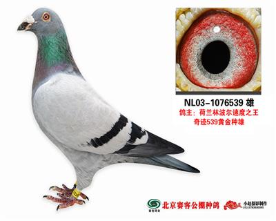 03��ͬ���E766�S���䌦(du��)