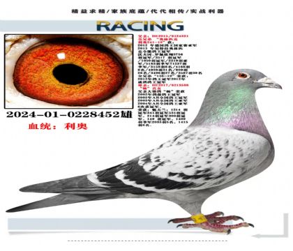 利奥,赫尔曼斯,杨孙代,