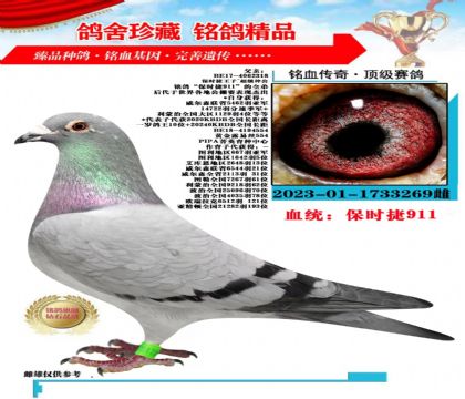 保时捷,平辈25年长阳预赛174名