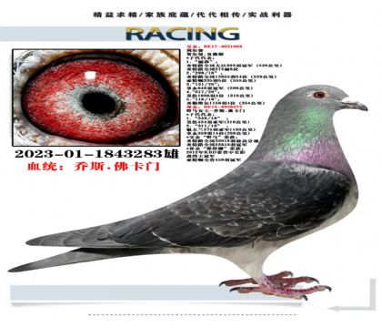 超级佛卡门,实战家族,公棚利器