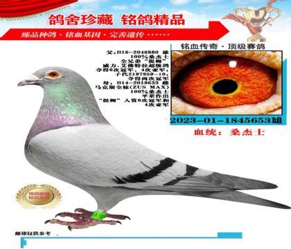 威力,艾佛拉特,全平辈25年300公里11名520公里98名