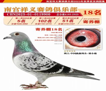 凡戴克X奶酪 500公里 5名 51名