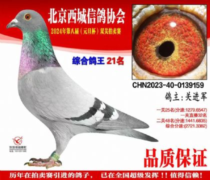 双关鸽王21名 0139159