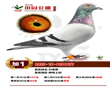 ֣����԰��վ���ھ�