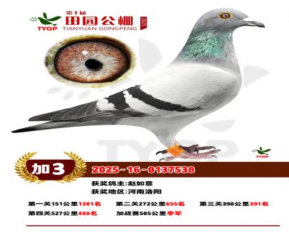 ֣����԰��վ������