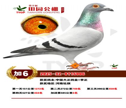 ֣����԰��վ��6��