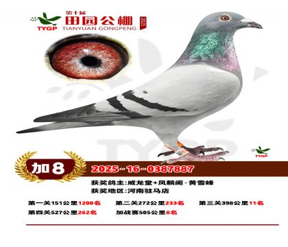 ֣����԰��վ��8��