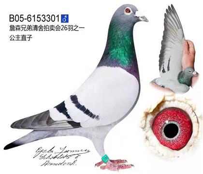 ���H������ֱ��