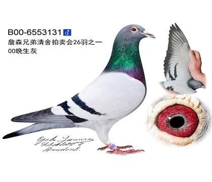 �游��00������