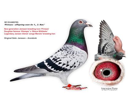 ��ĸ������̖(h��o)