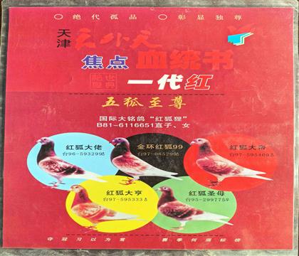 Ѫ�y(t��ng)������