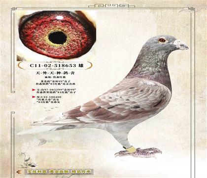 ��.��h(hu��n)99ֱ��