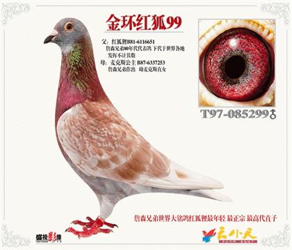 �游.��h(hu��n)99