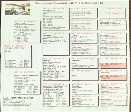 ԭʼѪ�y(t��ng)��