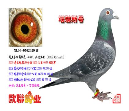 ��.����˹̖