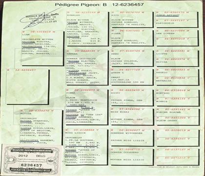 ԭʼѪ�y(t��ng)��