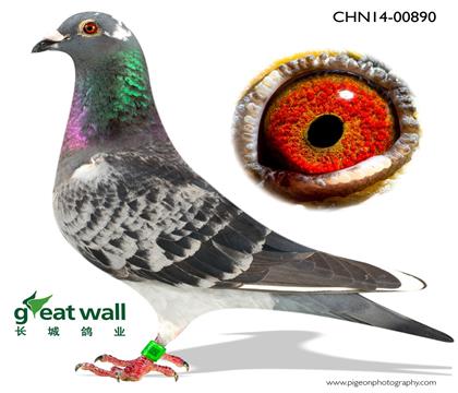 ĸ.�_��(chu��ng)������܊