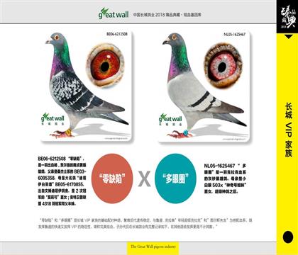 �游ĸ.��ȱ�ݶ�Ȧ��