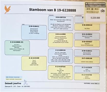 ԭʼѪ�y(t��ng)��