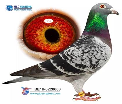 �W��GPSԭʼ��Ƭ