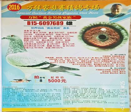 ���u��(hu��)��Ƭ