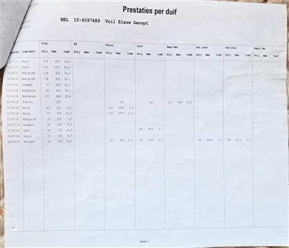 �ɿ�(j��)��