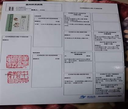 父親血統(tǒng)書